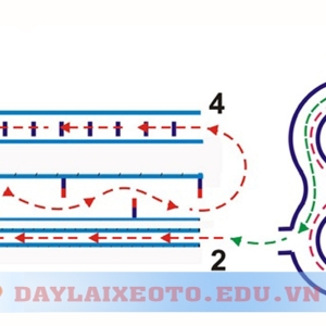 HƯỚNG DẪN TỔNG HỢP A1 (HỌC LÝ THUYẾT - HỌC THỰC HÀNH )